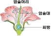 암술