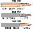 탄환