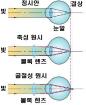원시